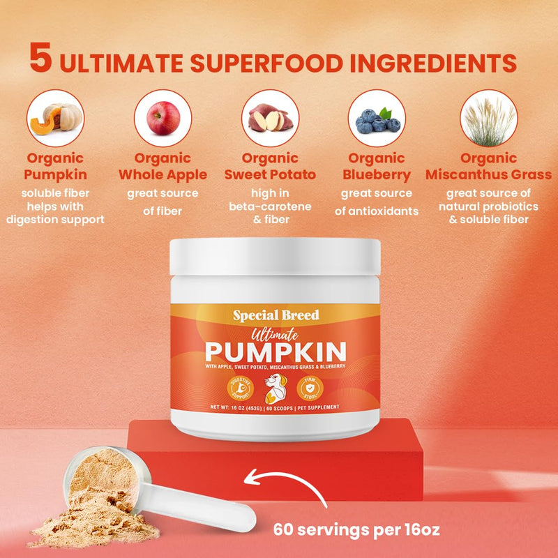 Ultimate Pumpkin for Dogs (16 oz) - with Organic Pumpkin, Apple, Sweet Potato, Miscanthus Grass & Blueberry, Digestive Support Relief for Constipation, Loose Stools, and Upset Stomaches, 60 Scoops - PawsPlanet Australia