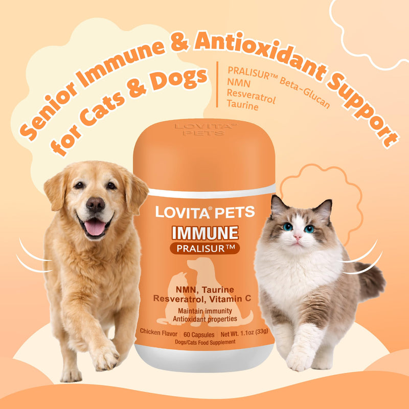 LOVITA Pets Senior Wellness Capsules for Dogs & Cats, with NMN, Resveratrol, Taurine, and PRALISUR Beta-Glucan, Daily Nutritional Support for Aging Pets, 60 Capsules