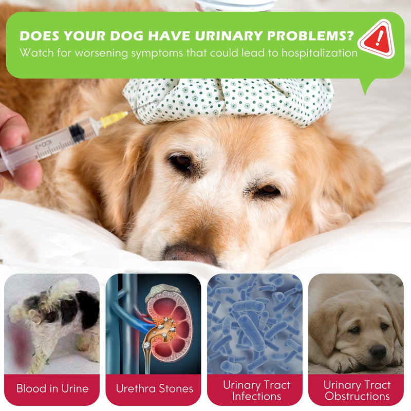 Urethral Therapy for Dogs, Dog Urinary Tract Infection Treatment Drops, Supports Bladder Supplement, Prevention Incontinence & Bladder Stones, Keep Pet Kidney Health & UTI Care - BeesActive Australia