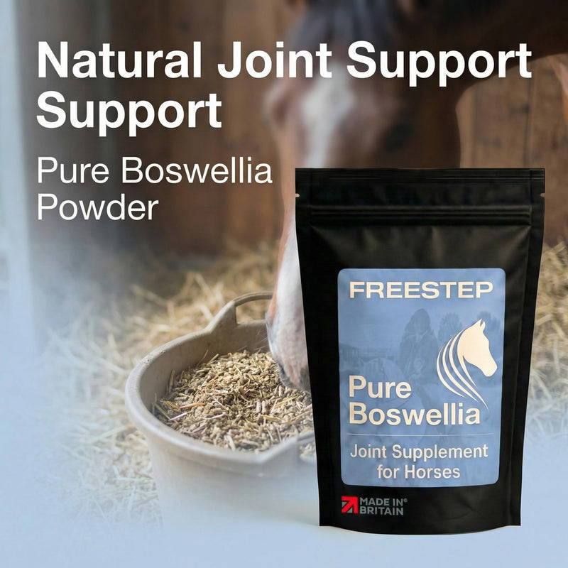 Pure Boswellia for Horses | Boswellia Carterii Powder for Joint and Mobility Support | Natural Horse Joint Supplement for Mobility Comfort | Serrata Alternative 250g | 2 Month Supply