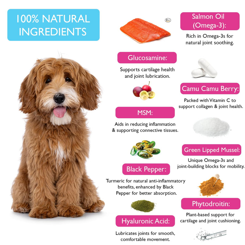 Fuzzl Joint Care Supplement Chews Max Strength - Hip and Joint Aid with Glucosamine for All Dogs including Senior Dogs - 60 Chews Dog Joints Supplement Science Backed, UK Made, Vet Approved Joints 60s