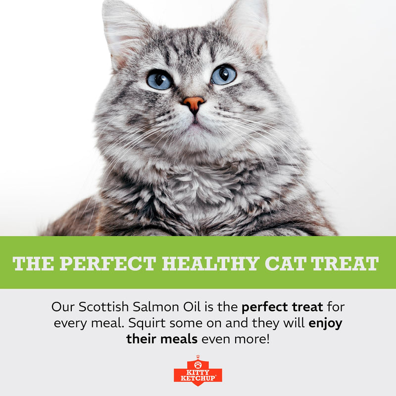 Pure Scottish Salmon Oil for Cats - 500ml | 100% Pure Natural Omega 3, 6 & 9 Fish Oil for Cats | Salmon Oil Cats - Cat Supplement - Omega 3 for Cats - Cat Fish Oil - Cat Salmon Oil | Kitty Ketchup