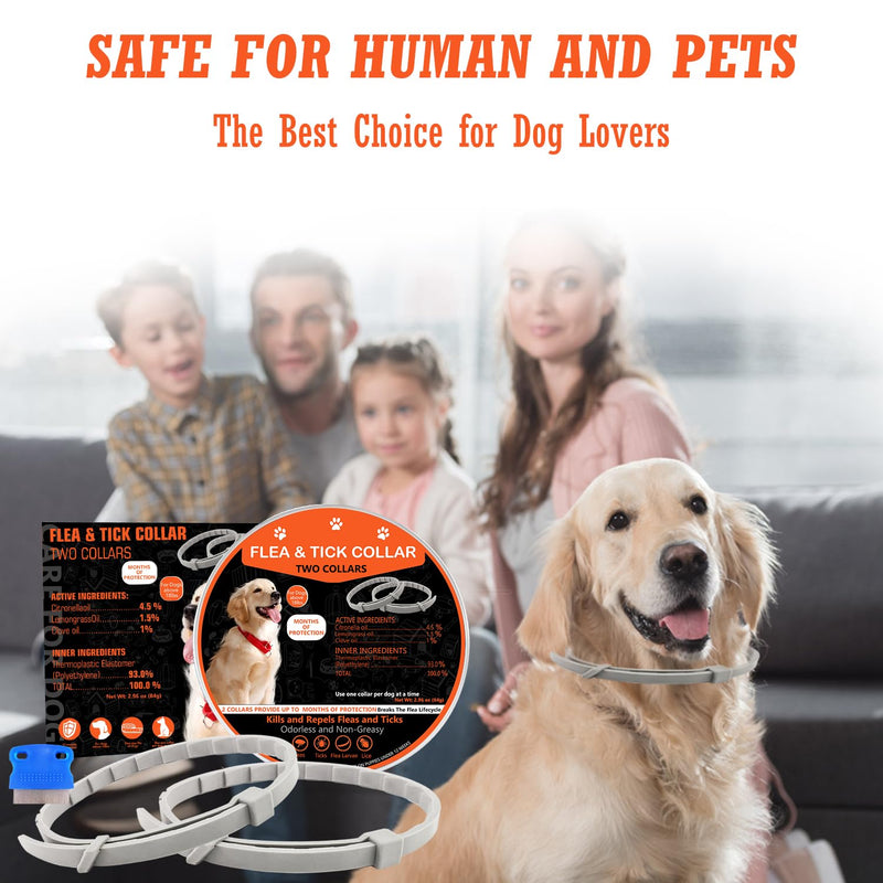Flea Collar for Dogs, 2 Pack Collar for Dogs, 12 Months Protection, Waterproof, Adjustable One Size Fits All, Dark Orange
