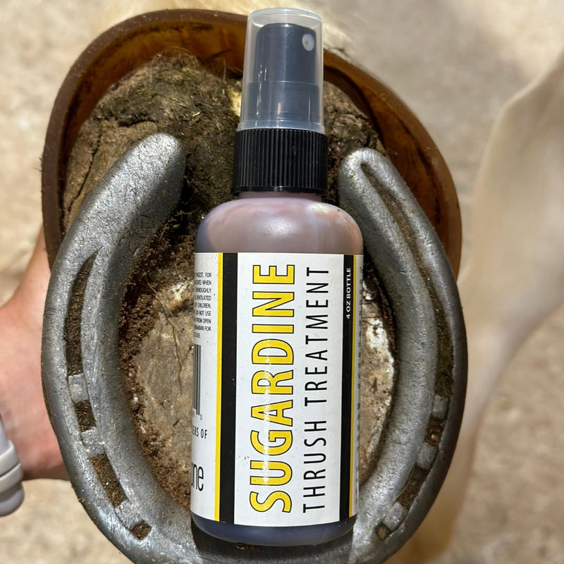 Sugardine Thrush Treatment - for Equestrians, Horses with Thrush, Liquid Thrush Treatment, Cure Your Horses Thrush - BeesActive Australia