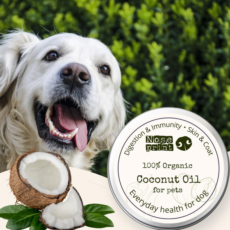 100% Organic Coconut Oil for Dogs Immunity Booster, Itchy Skin Relief, Digestive Support & Paw Balm