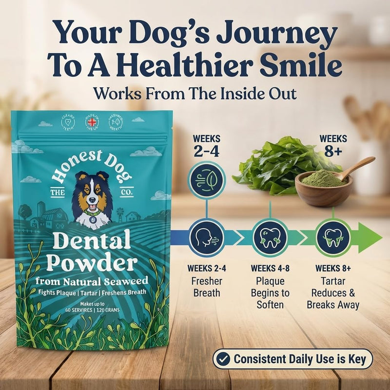 Honest Dog Co. Dental Powder for Dogs - Easy Seaweed Food Topper for Fresh Breath, Plaque & Tartar Removal | Natural Teeth Cleaning & Gum Health | Made in UK | 120g (up to 60 servings)
