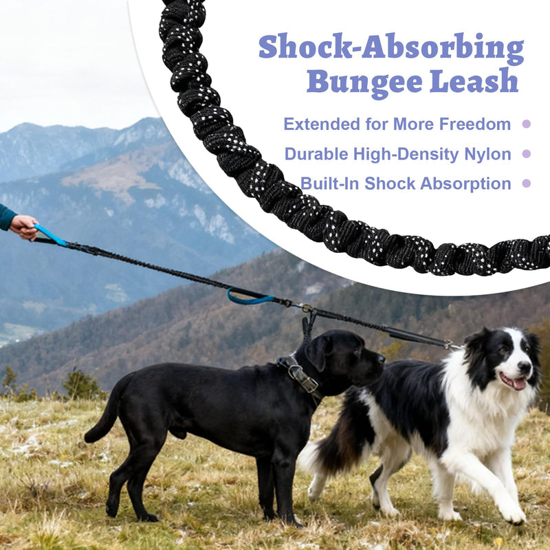 Hands Free Double Dog Leash for Two Dogs- No Tangle No Pull Dual Leash with Padded Adjustable Waist Belt & Reflective Stitching - Ideal for Running, Jogging, Hiking with Medium & Large Breeds Blue - BeesActive Australia