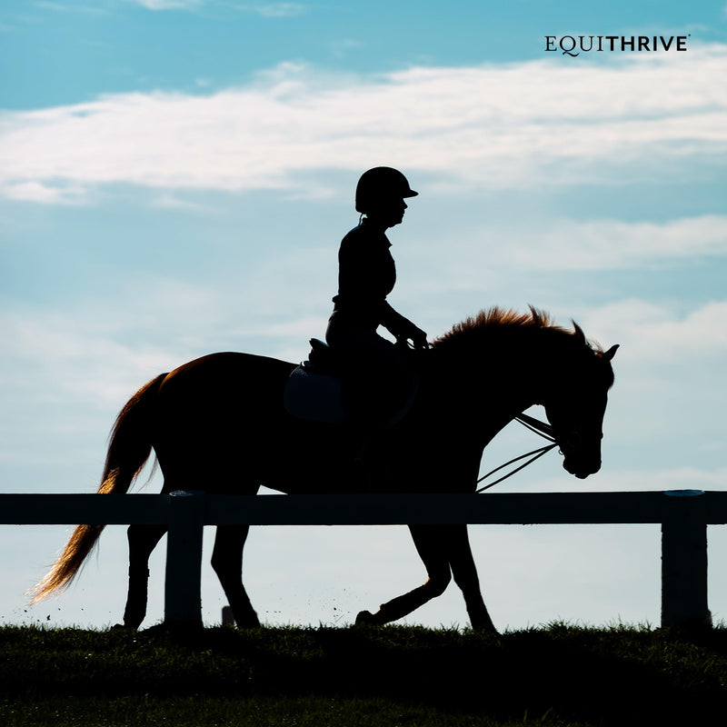 Equithrive Original Joint Supplement Pellets with Resveratrol and Hyaluronic Acid for Horses in Training and Competition and Senior Horses, 1.65 lbs 1.65lbs (30 day supply) - BeesActive Australia