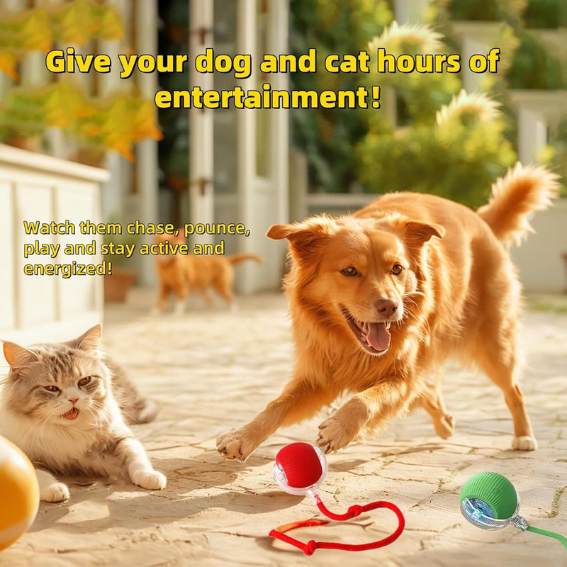 Interactive Dog Cat Toys Ball, Electric Rolling Ball Dog Toy, Automatic Moving Bouncing Toy Ball with Lights, Dog Toys to Keep Them Busy, Peppy Pet Ball for Bored Indoor Cats & Dogs (Red) Red - BeesActive Australia