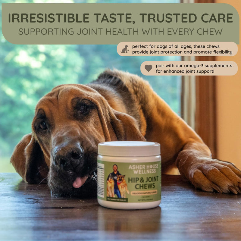 Asher House Wellness Hip and Joint Supplement for Dogs - Natural Soft Chew with MSM, Chondroitin, Glucosamine, Vitamins - Promotes Joint Health & Pain Relief Senior & All Dog Breeds, Large, 120 Chews - PawsPlanet Australia