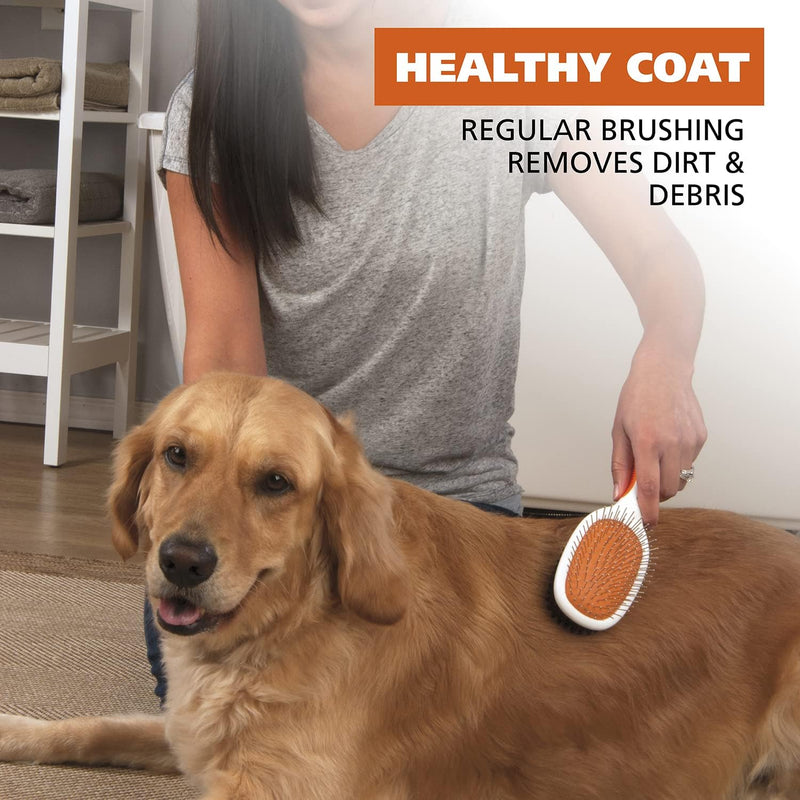 Wahl Premium Pet Double Sided Pin Bristle Brush with Patented Stacked Pin Design for Dogs - Removes Loose Hair & Stimulates the Skin while Creating a Soft Coat Shine - Model 858501 Orange 1 Count (Pack of 1) - BeesActive Australia