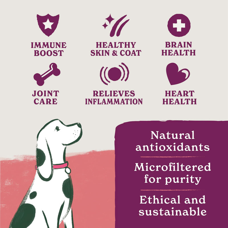 Forthglade Scottish Salmon Oil for Dogs (1 x 500ml), UK Sourced Omega 3 Fish Oil Dog Joint Supplement for Pets Aged 4+ Months, 100% Natural Premium Quality Dog Vitamins for Everyday Wellbeing