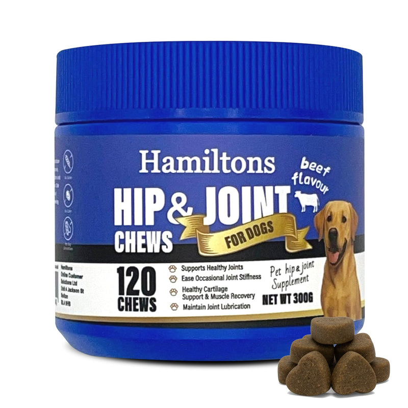 Hamiltons Hip & Joint Supplement for Dogs – 120 Soft Chews Treats with Glucosamine, Chondroitin, MSM & Green Lipped Mussel – Supports Mobility & Stiff Joints for Adult & Senior Dog– Beef Flavour