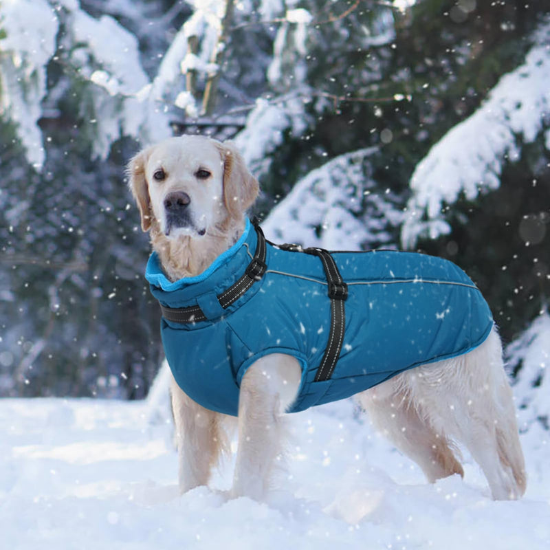 Lelepet Dog Coat,XX-Large Dog Coat with Harness Waterproof Dog Jacket Warm Dog Winter Coat with Harness Dog Fleece Jacket Dog Padded Vest Dog Snow Jacket Reflective Dog Coats for Large Dogs,Weimaraner XX-Large Blue - BeesActive Australia