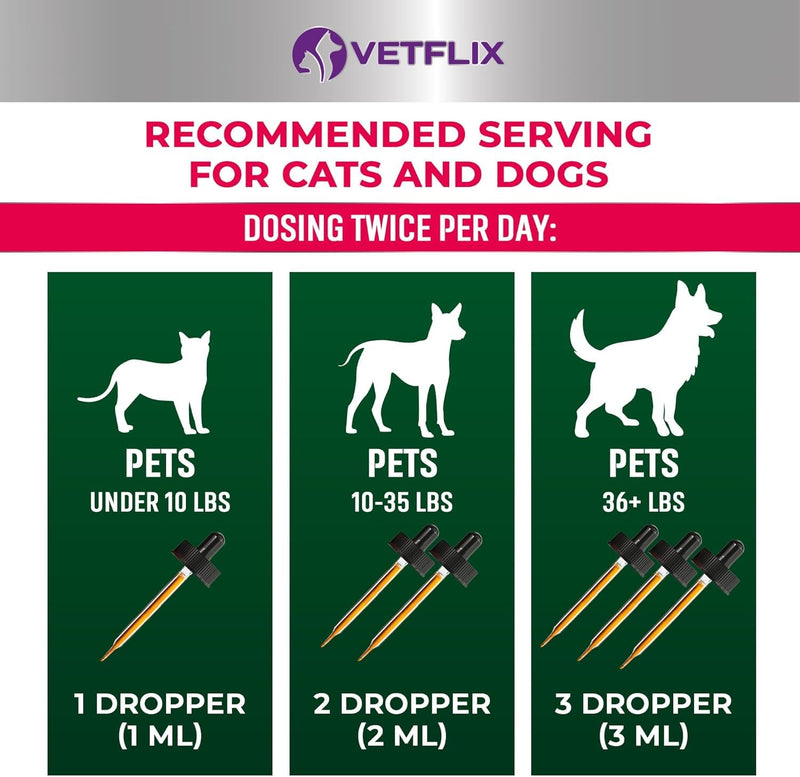 Immune & Digestive Support Bundle for Dogs, Cats, Puppies, and Kittens - 10 in 1 Pet Vitamins + Premium Probiotics - Made in USA - Supports Joint, Heart, Skin, Digestive, and Immune Health - 2 Fl Oz e