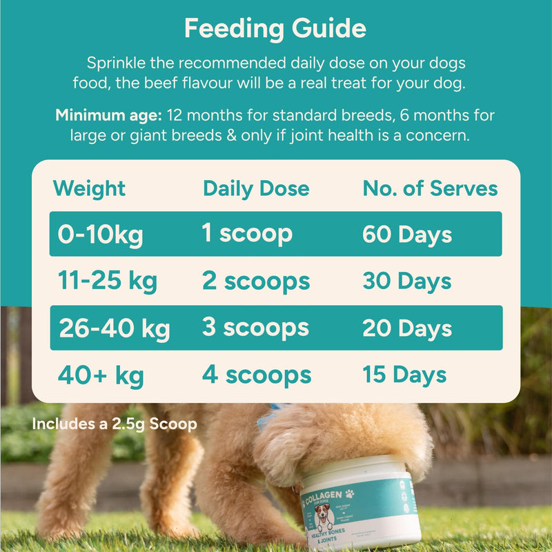 Happi Pets Collagen for Dogs Powder - Joint Supplements for Dogs - Dog Supplement with UC-11, Bovine Collagen & Green Lipped Mussel - Beef Flavoured, 150g Tub - Serving Scoop