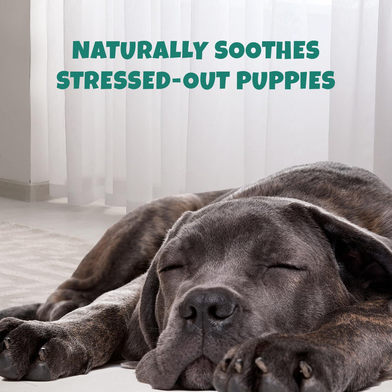 Petipet Calming Chews for Dogs - Plant-Based Calming Supplement w/Melatonin+Chamomile - Calming Aid Soft & Chewy Treats for Relaxing, Stress, Separation, Anxiety Relief, Puppies, Small & Large Breeds Chamomile