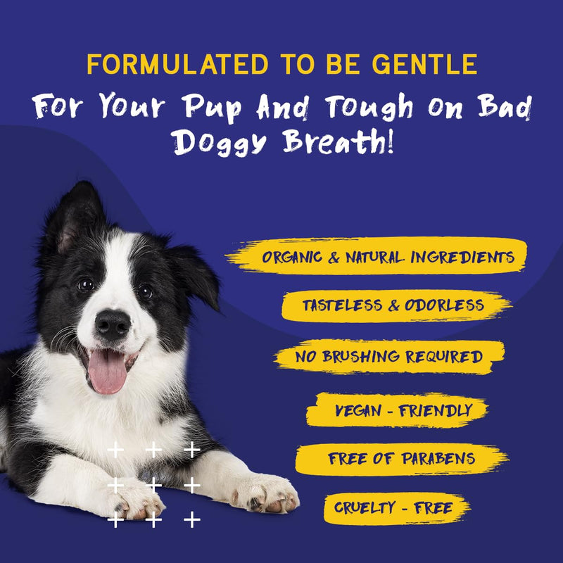 PupGrade Dental Care Water Additive Solution - Advanced Oral Care for Dogs - Dental Rinse for Fresh Breath to Fight Against Bad Breath, Plaque, and Tartar - PawsPlanet Australia