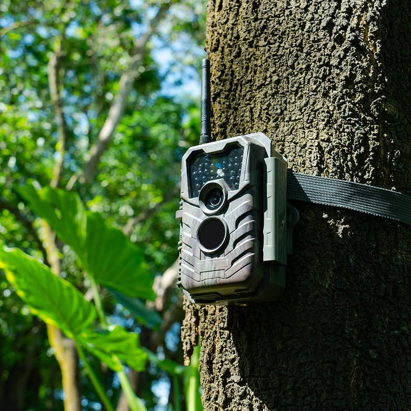 WiFi Trail Camera P90 Pro, Bluetooth, 48MP 1296p Game Cameras with Night Vision Motion Activated Waterproof, Live Stream to Cell Phone - BeesActive Australia