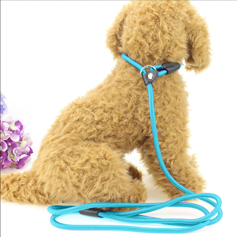 Slip Lead Dog Leash 3Pcs Nylon Dog Slip Rope Leash 5FT Dog Training Leash Heavy Duty Rope Dog Leash No Pull Pet Training Leash for Large Medium Small Dog
