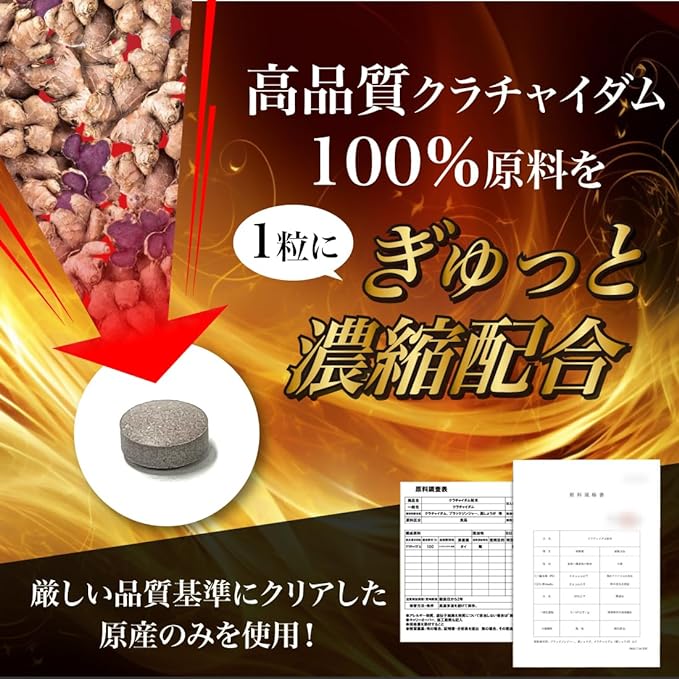 Krachaidam 100% Supplement 60 tablets (Arginine Black Ginger Tablets Made in Japan, Approximately 1 month's supply, Men, Made in Japan) Supplement Workshop Toyama [Plan Bear] - BeesActive Australia