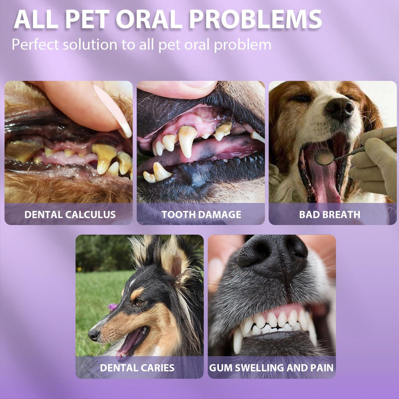 Pet Oral Repair Gel,Pet Oral Restoration White Gel,Pet Breath Freshener Gel No Brushing Oral Care Cleaner，Easy Teeth Cleaning Gel for Dogs & Cats,3ML (3box,6pcs) 6 - BeesActive Australia