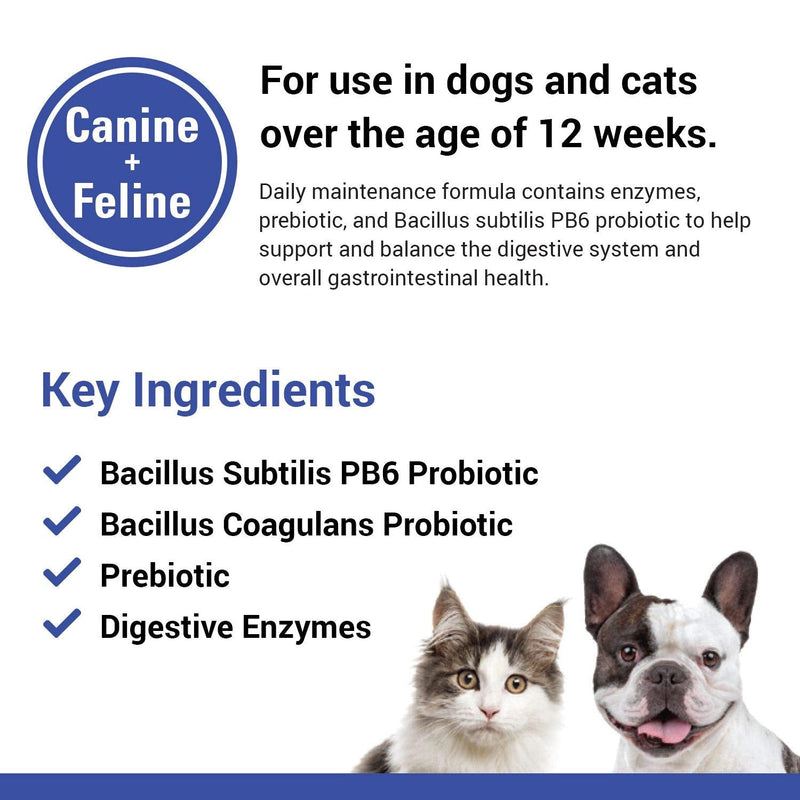 Vet Classics Protegrity EZ Probiotic Health Supplements for Dogs, Cats – Dog Digestive Support, Pet Gastrointestinal Health, Cat Stomach, Intestinal Balance – Pet Enzymes – 120 Soft Chews - BeesActive Australia