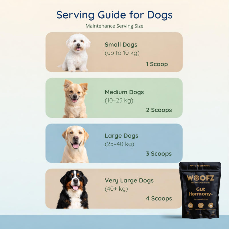 Gut Harmony + Dog Digestive Supplement Powder, Pre, Pro & Postbiotic, Pumpkin-Enhanced, Gluten-Free, 150g, up to 75 Servings