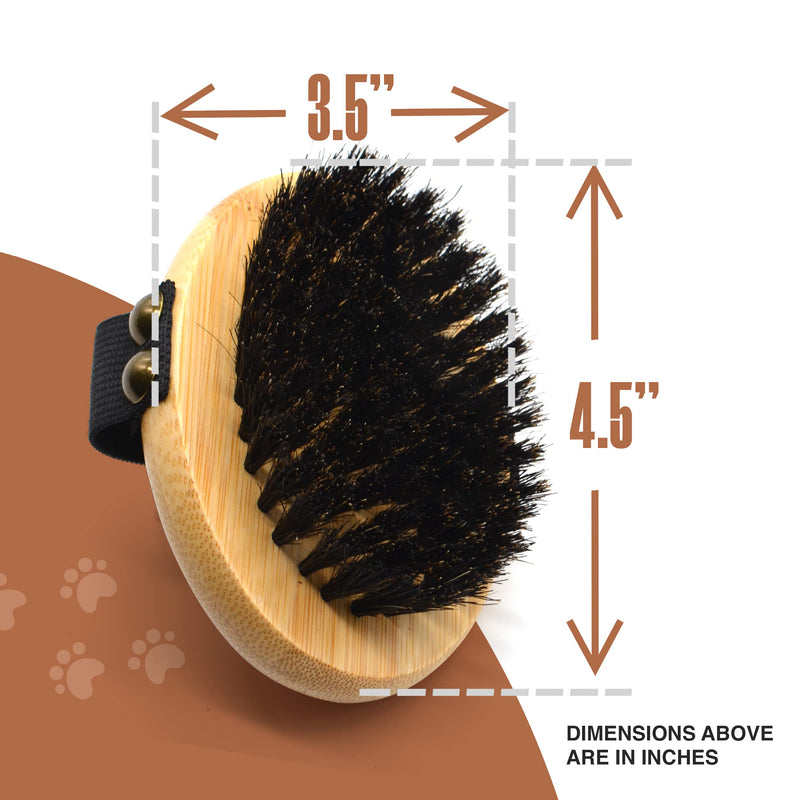 The Buddy System Pet Close Brush, Soft Touch Oval Palm Brush - Bamboo Massage Handheld with Soft Boar Bristles and Elastic Band for Dogs and Cats 1-pack Oval Brush - BeesActive Australia