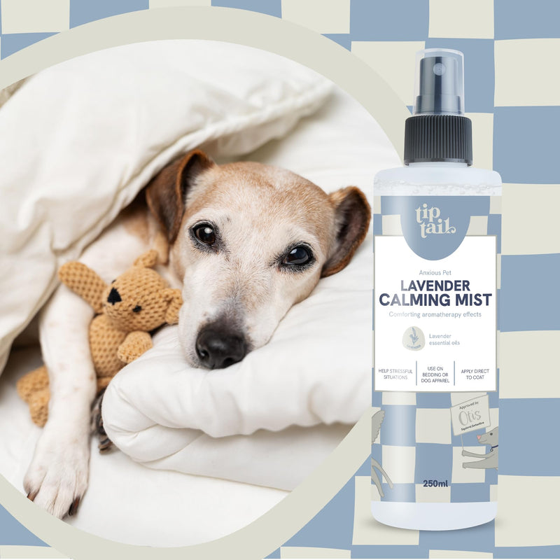 Tip Tail Lavender Calming Mist for Dogs - Comforting Aromatherapy to Calm Stressed and Anxious Dogs. Use on Bedding, Apparel or Directly on Dog's Coat, Natural, pH-Neutral Formula (250 ml)