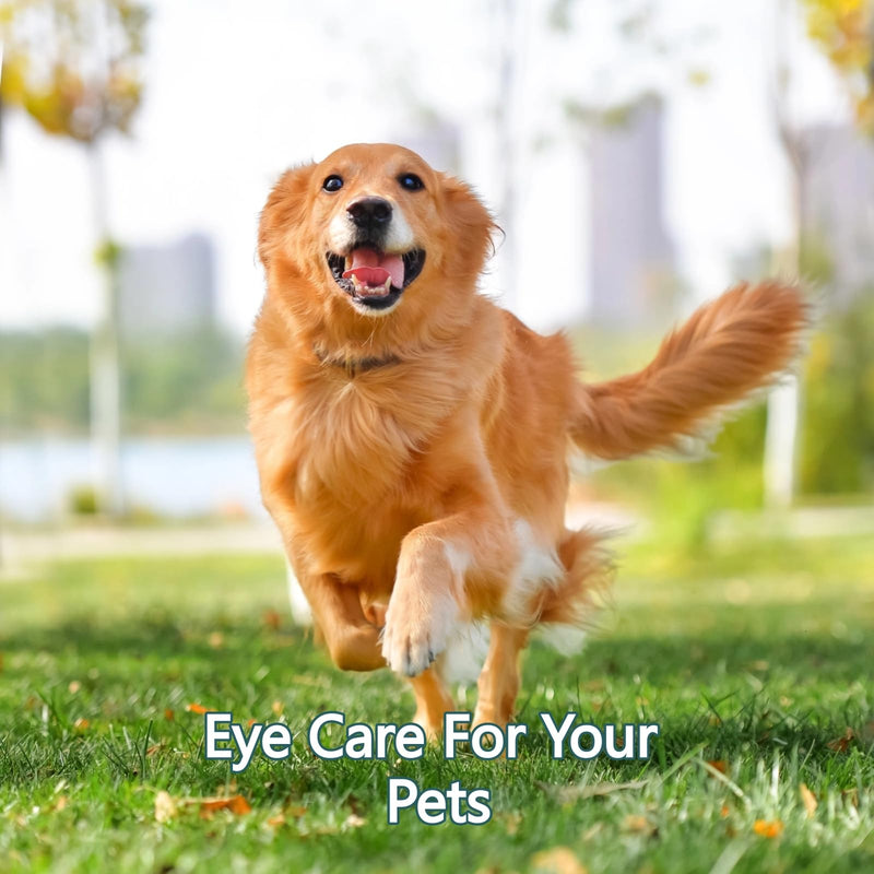 AINxtolm Cat and Dog Eye Gel,Pet Eye Gel for Dogs and Cats,Eye Care for Dogs and Cats,Dog Eye Cleaner,Soothes Redness Gel,Eye Gel for Dry Eyes,Dog Eye Drops for Gunky Eyes,Dry Eye Drops for Dogs,5g