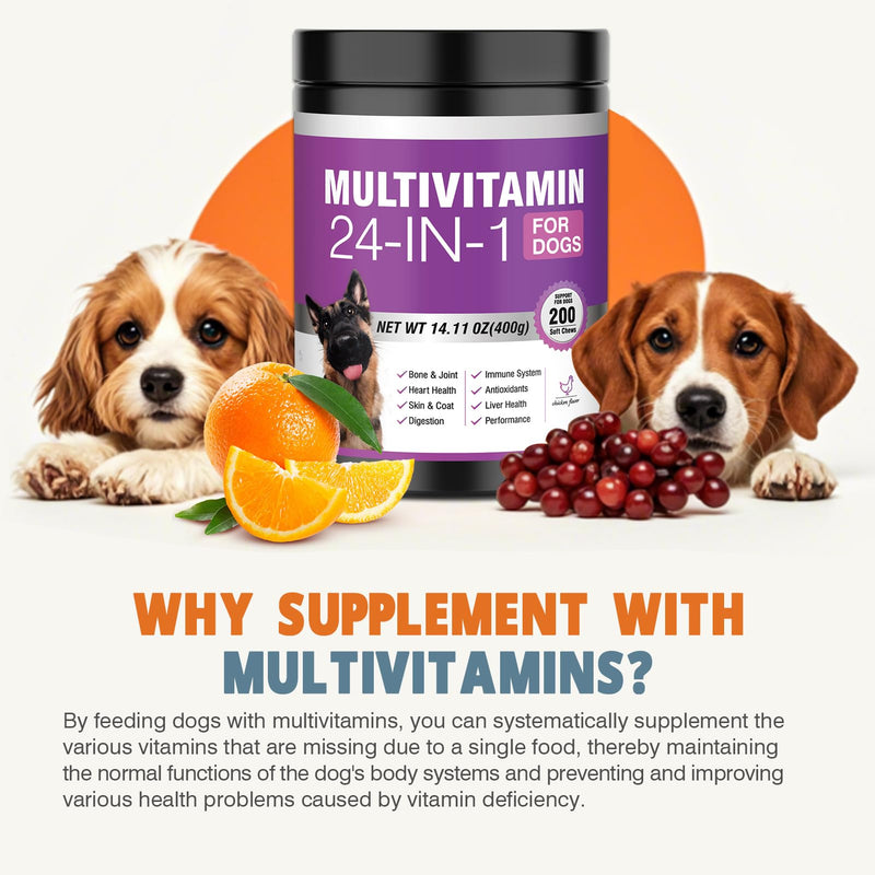 24-in-1 Dog Vitamins and Supplements 200 Ct Dogs Multivitamin Chewable Contain Chondroitin Probiotics Omega-3 Glucosamine for Dogs Skin Coat Heart Joint Gut Liver Brain Eyes Immune Support - Chicken 200 Count
