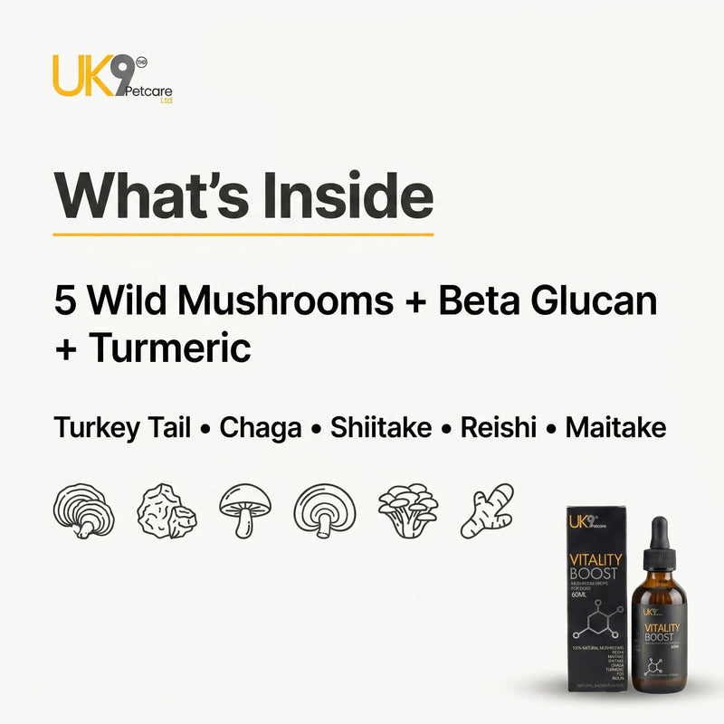 UK9 Vitality Boost, Immune Support Vitamins for Dogs, Wild Mushroom for dogs, with Chaga, Turkey Tail, Shiitake, Reishi and Maitake Mushroom Extract, Beta Glucan 60ml easy dosage liquid k9 drops.