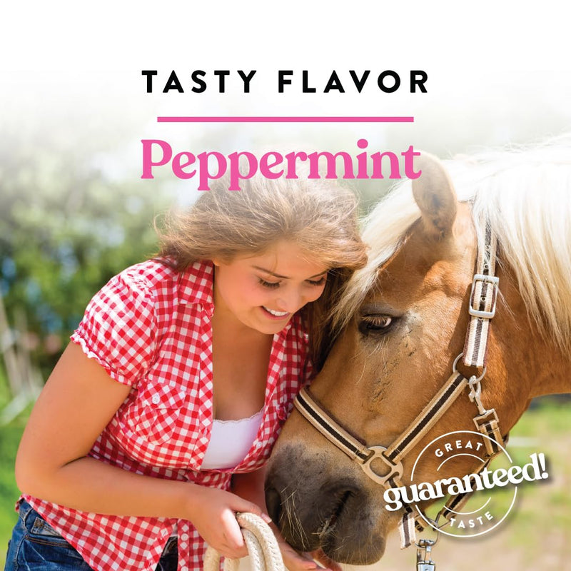 Manna Pro Bite-Size Peppermint Flavor Nuggets | Packed with Vitamins and Minerals | 1 Pound 16 Fl Oz (Pack of 1) - BeesActive Australia
