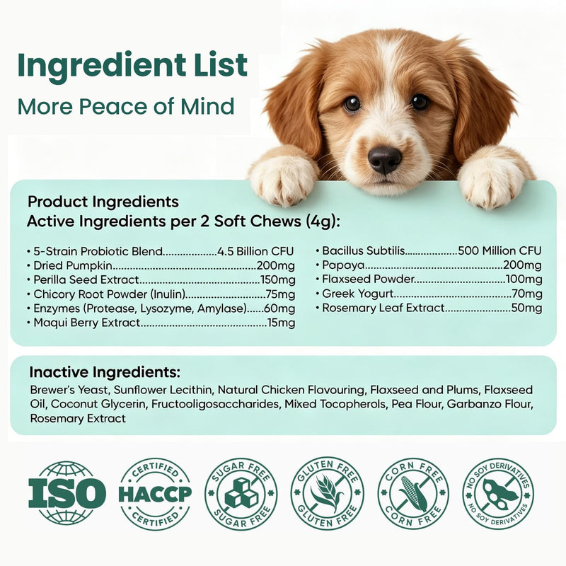 Dog Probiotics Chews, 200 Count Chicken Flavor, with Digestive Enzymes & Prebiotics, Supports Gut Health, Relieves Diarrhea, Constipation & Itching, Boosts Immunity & Oral Health for All Dogs