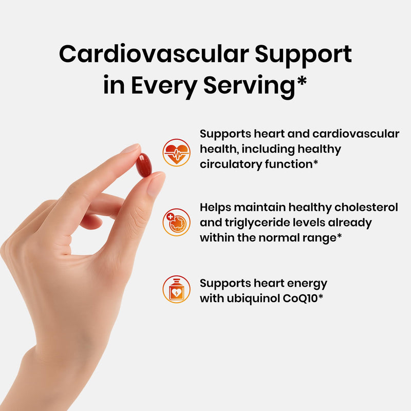 Omega 3 Fish Oil Supplements with CoQ10 for Daily Wellness Support | High EPA DHA Fish Oil Omega 3 Supplements, 2200 mg rTG Omega 3,Lemon Flavor, 300 Softgels