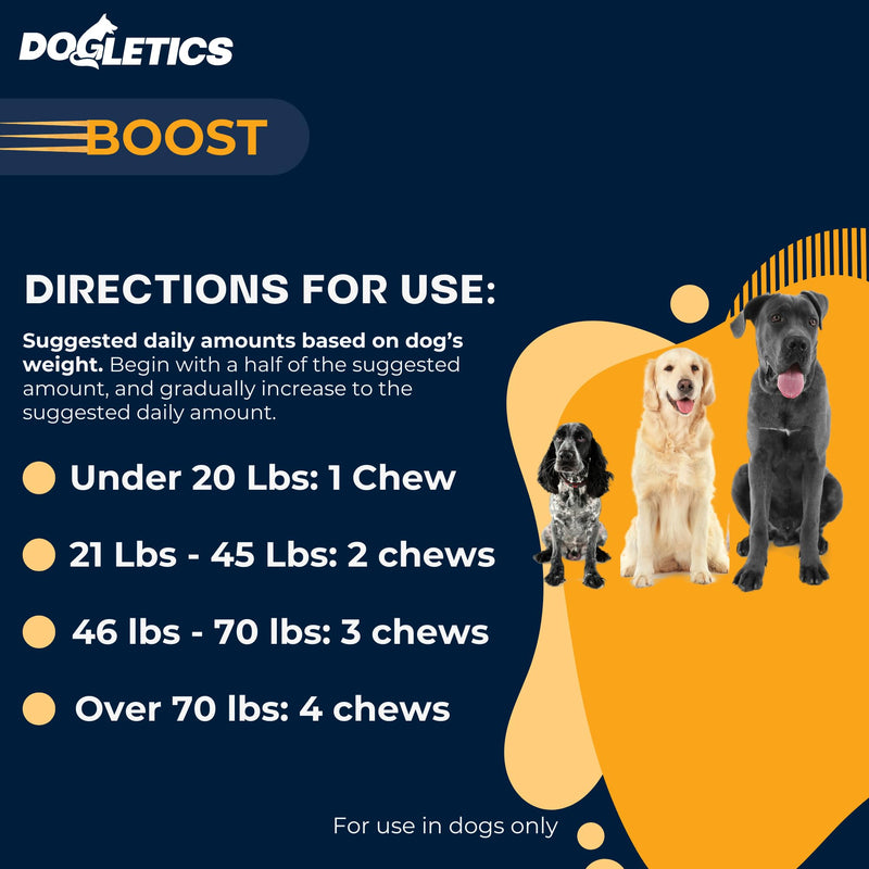 Boost Active Dog Support: Improve Energy, Endurance, Recovery & Longevity- 90ct USA Made with Real Bacon Boost