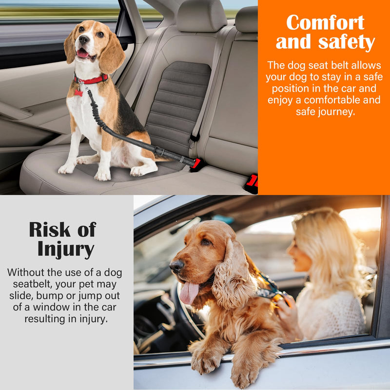 DATEFUN Dog Seat Belt Car Adjustable - Pack of 2 Seat Belt Dogs with Cushioning and Storage Bag for All Dog Breeds & Car Types (50-88 cm) - BeesActive Australia