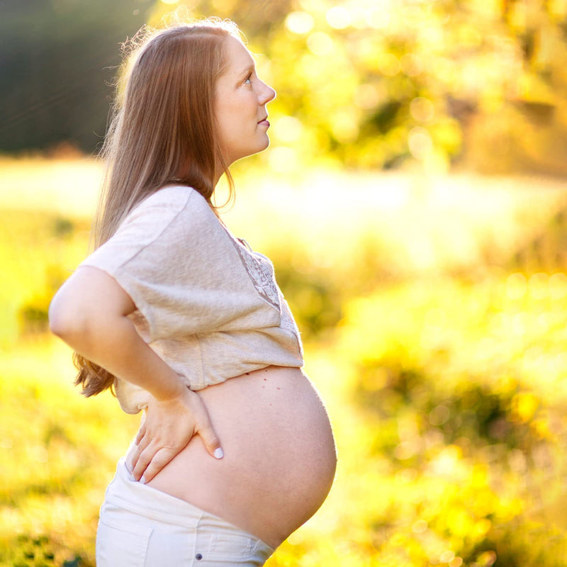 Badger Organic Pregnant Belly Oil - Jojoba & Coconut - 4 oz. - BeesActive Australia