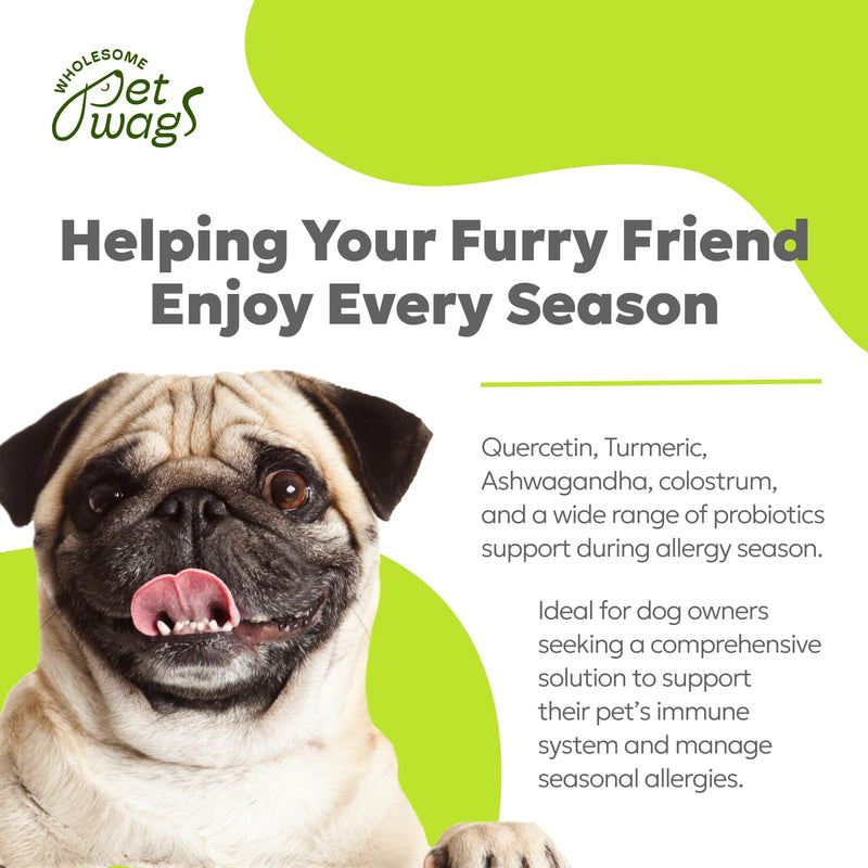Canine Allergy Soft Chews | Dog Allergy Relief Supplements, Anti Itch Bites for Dogs, for Healthy Immune Response, for Itchy Skin, Probiotic Treats | 60 Chews, 180g, 6.35 oz - PawsPlanet Australia