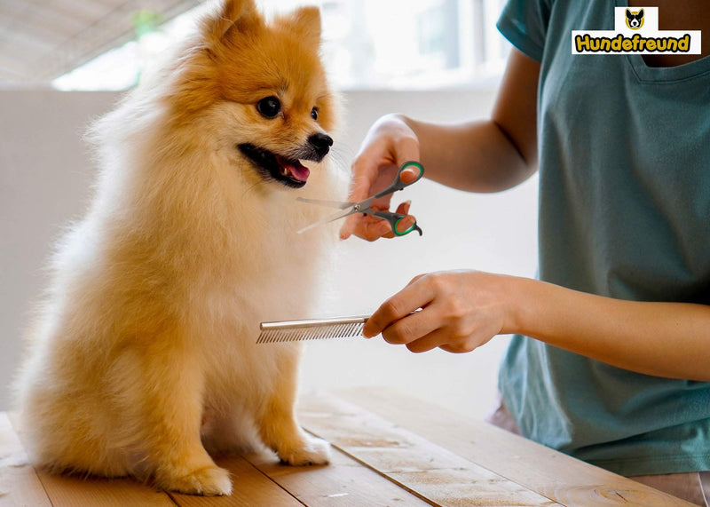 Hundefreund dog scissors set with thinning scissors for grooming | Stainless steel scissors with rounded tips for dog grooming - BeesActive Australia