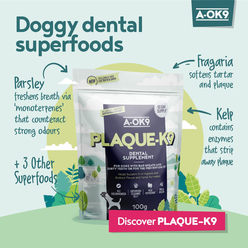 Plaque-K9 | Dental Care Supplement for Dogs | Removes Plaque, Bad Breath & Tartar | Support Oral Hygiene | Natural Ingredients & Superfoods | Mix with Dog or Puppy Food | Absolute Dogs 1 pouch