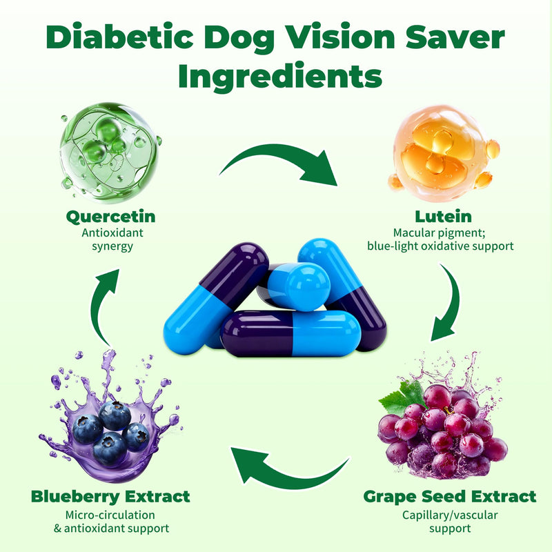 Diabetic Dog Vision Support Supplement– Alpha-Lipoic Acid, Lutein, Taurine & Blueberry Extract | Antioxidants Supports Eye Health & Protects Vision in Diabetic Dogs -90 Capsules