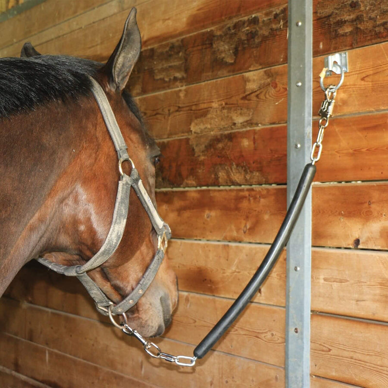 Cross Tie Ring for Horses, Block Tie Ring for Horse Stall/Stable, Tie Down Horse Barn Supplies (2 PACK) 2 PACK - BeesActive Australia