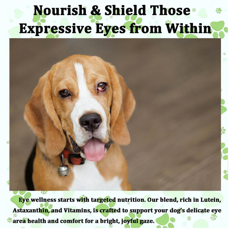 Cherry Eye Treatment for Dogs, Advanced Ocular Formula, Daily Vision Health Powder with Immune Support, Chicken Flavor, 4oz