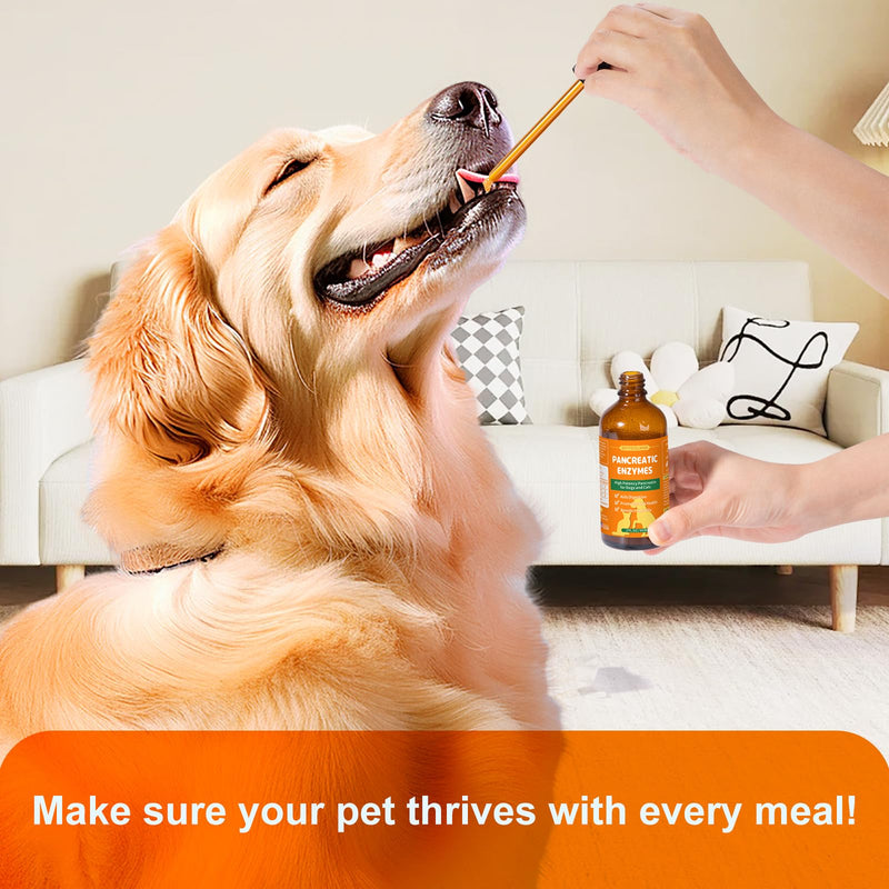 Pancreatic Enzymes for Dogs - Dog Digestive Enzymes & Support - Helps Dogs with EPI Restore Normal Weight, Digestive Health, and Manage Pancreatic Issues - 2 fl oz (Liquid) - BeesActive Australia