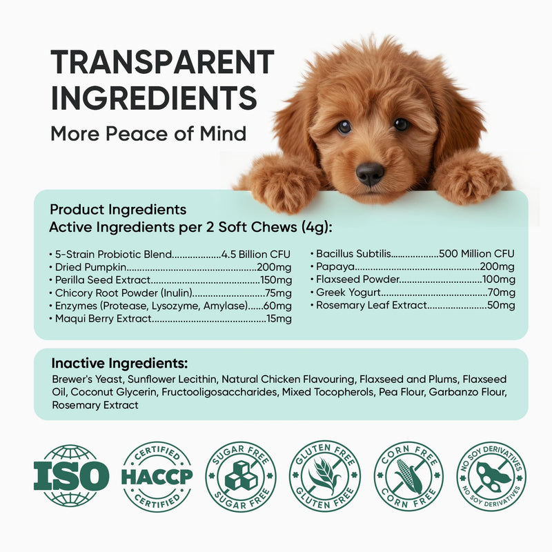 Probiotics for Dogs Gut Digestive Health Probiotic Chews for Dogs Digestive Enzymes Relieve Diarrhea Immunity Oral Problems Itching Constipation Prebiotics Dog Probiotics 200 Ct Chicken
