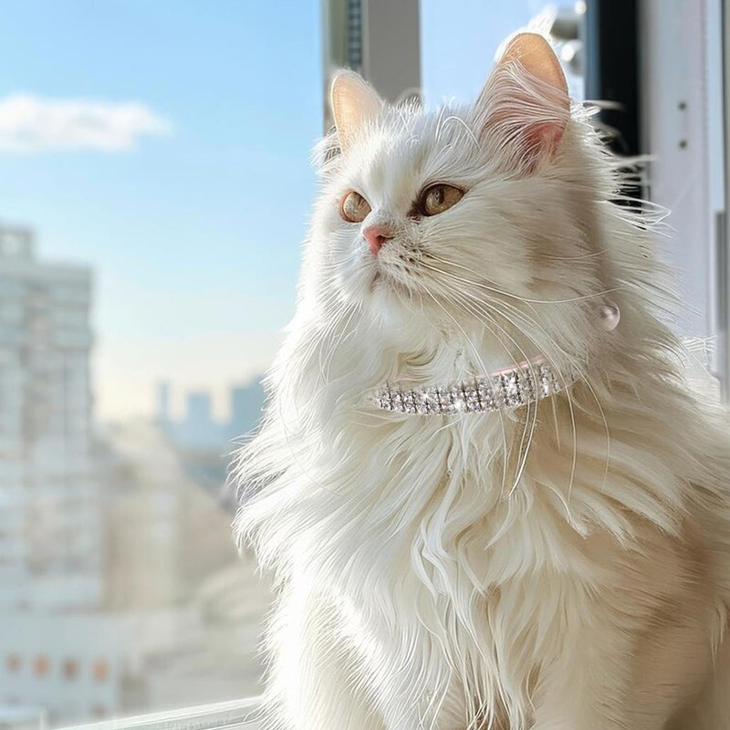Pink Cat Collar, Kitten Collar with Bell Cat Collar Rhinestones Cat Dog Collar Soft Breakaway Collar Adjustable Cute Cat Collar Bling Cat Collar Cat Accessories for Small Dog and Cat - BeesActive Australia