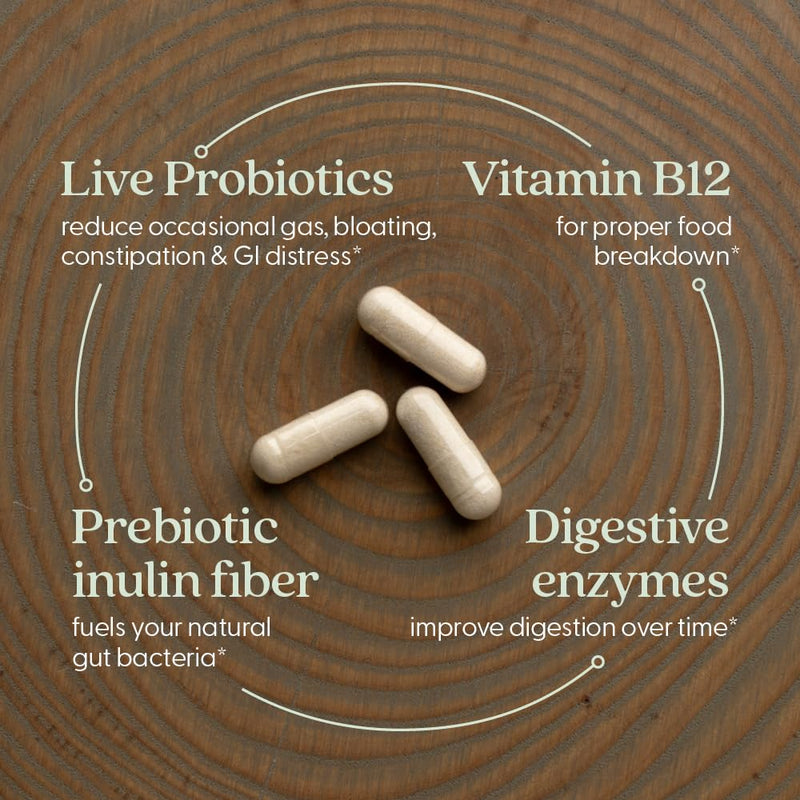 New Chapter All-Flora Enzyme Complex with Probiotics, 90 Count | Clinical-Strength Digestive Enzymes and Ultra-Concentrated Probiotics Relieve Bloating, Plus Fermented Vitamin B12