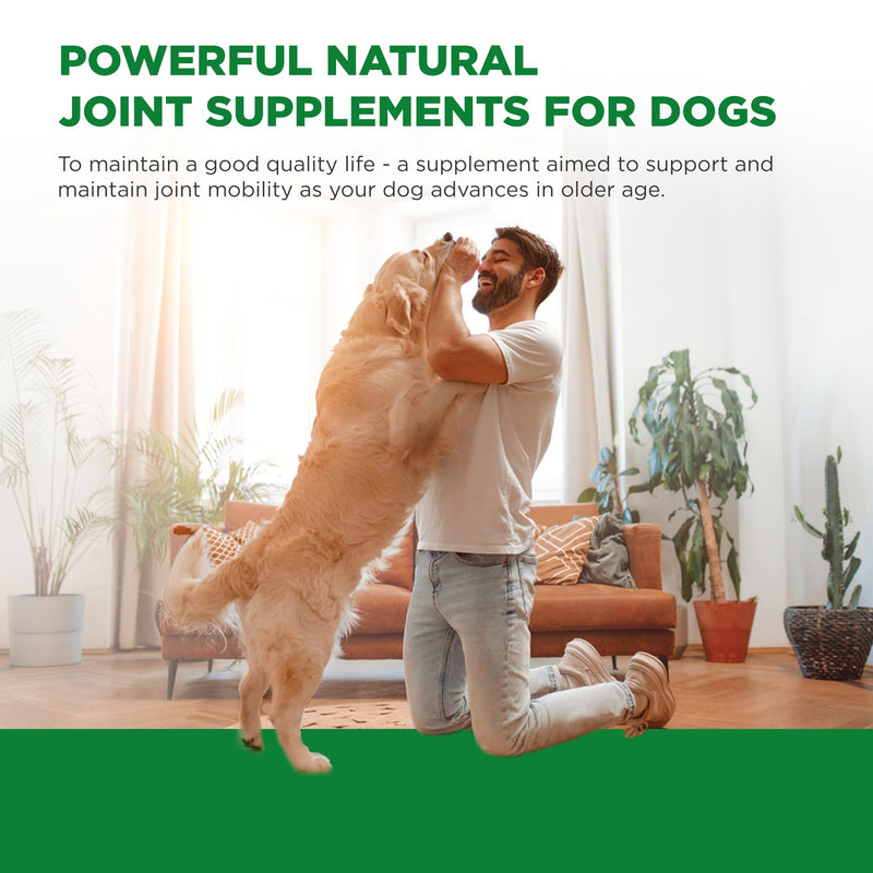 The Dog Doctors Mobility Plus Dog Joint Supplements, 150 Capsules with Glucosamine, Chondroitin, MSM & Hyaluronic Acid for Cartilage, Ligaments, Connective Tissue & Hip & Joint Care for Dogs, UK Made